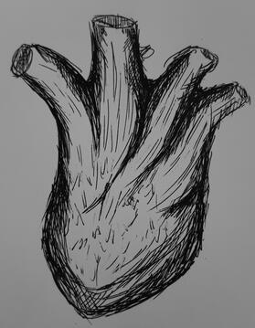 A black and white drawing of a heart.