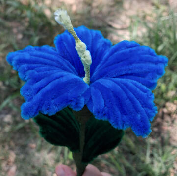 A Blue Hibiscus made from pipe-cleaners.