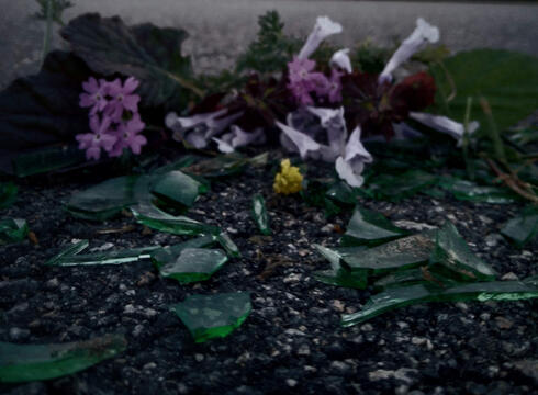 A photograph of a broken beer bottle on the road with purple flowers.