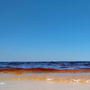 A photograph of the shore at a beach in florida.