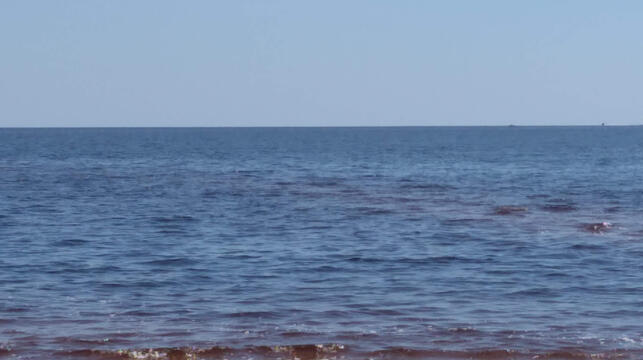 A photograph of the shore at a beach in florida.